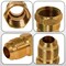 Everflow 3/4" Flare x FIP Adapter Pipe Fitting; Brass F46-34 - alternate 5
